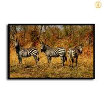 HD Canvas Print Home Decor Paintings Wall Art Pictures-SR-10387