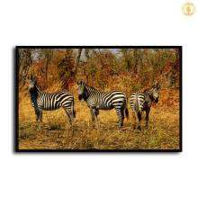 HD Canvas Print Home Decor Paintings Wall Art Pictures-SR-10387