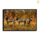 HD Canvas Print Home Decor Paintings Wall Art Pictures-SR-10387