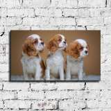 HD Canvas Print Home Decor Paintings Wall Art Pictures-SR107140