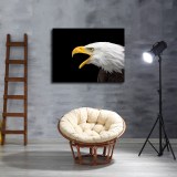 HD Canvas Print Home Decor Paintings Wall Art Pictures-SR100995