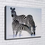 HD Canvas Print Home Decor Paintings Wall Art Pictures-SR-10239