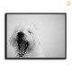 HD Canvas Print Home Decor Paintings Wall Art Pictures-SR120177