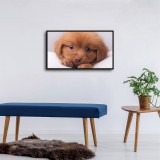 HD Canvas Print Home Decor Paintings Wall Art Pictures-SR109232