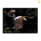 HD Canvas Print Home Decor Paintings Wall Art Pictures-SR-A0582