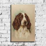 HD Canvas Print Home Decor Paintings Wall Art Pictures-SR120311