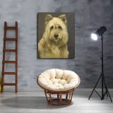 HD Canvas Print Home Decor Paintings Wall Art Pictures-SR120314