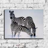 HD Canvas Print Home Decor Paintings Wall Art Pictures-SR-10239