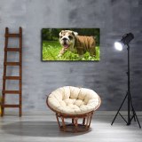 HD Canvas Print Home Decor Paintings Wall Art Pictures-SR100422