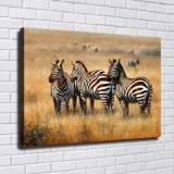 HD Canvas Print Home Decor Paintings Wall Art Pictures-SR-C_X07