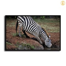 HD Canvas Print Home Decor Paintings Wall Art Pictures-SR-10462