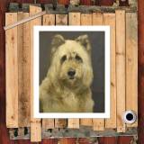 HD Canvas Print Home Decor Paintings Wall Art Pictures-SR120314