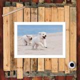 HD Canvas Print Home Decor Paintings Wall Art Pictures-SR100986