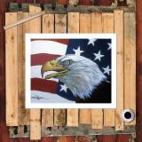 HD Canvas Print Home Decor Paintings Wall Art Pictures-SR-A6150