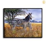 HD Canvas Print Home Decor Paintings Wall Art Pictures-SR-A0542