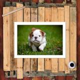 HD Canvas Print Home Decor Paintings Wall Art Pictures-SR100934
