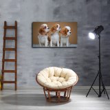 HD Canvas Print Home Decor Paintings Wall Art Pictures-SR107140