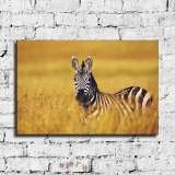 HD Canvas Print Home Decor Paintings Wall Art Pictures-SR-C_X06