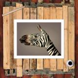 HD Canvas Print Home Decor Paintings Wall Art Pictures-SR--0352