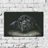 HD Canvas Print Home Decor Paintings Wall Art Pictures-SR100413