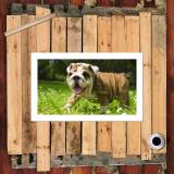 HD Canvas Print Home Decor Paintings Wall Art Pictures-SR100422