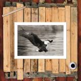 HD Canvas Print Home Decor Paintings Wall Art Pictures-SR111634