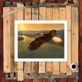 HD Canvas Print Home Decor Paintings Wall Art Pictures-SR-A1754