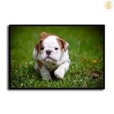 HD Canvas Print Home Decor Paintings Wall Art Pictures-SR100934