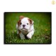 HD Canvas Print Home Decor Paintings Wall Art Pictures-SR100934