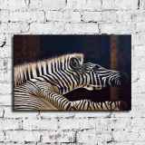 HD Canvas Print Home Decor Paintings Wall Art Pictures-SR200053