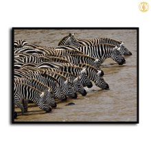 HD Canvas Print Home Decor Paintings Wall Art Pictures-SR-10557