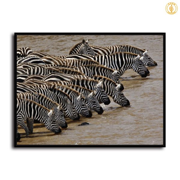HD Canvas Print Home Decor Paintings Wall Art Pictures-SR-10557