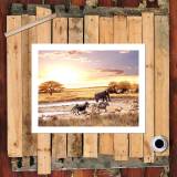 HD Canvas Print Home Decor Paintings Wall Art Pictures-SR--0286