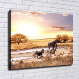 HD Canvas Print Home Decor Paintings Wall Art Pictures-SR--0286