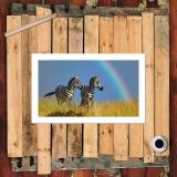 HD Canvas Print Home Decor Paintings Wall Art Pictures-SR-10275