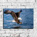 HD Canvas Print Home Decor Paintings Wall Art Pictures-SR-20064