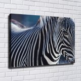 HD Canvas Print Home Decor Paintings Wall Art Pictures-SR-10559