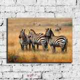 HD Canvas Print Home Decor Paintings Wall Art Pictures-SR-C_X07