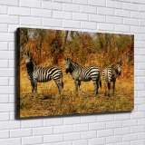 HD Canvas Print Home Decor Paintings Wall Art Pictures-SR-10387