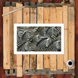 HD Canvas Print Home Decor Paintings Wall Art Pictures-SR-10457