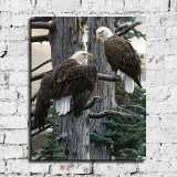 HD Canvas Print Home Decor Paintings Wall Art Pictures-SR-A0468