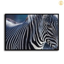 HD Canvas Print Home Decor Paintings Wall Art Pictures-SR-10559