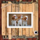 HD Canvas Print Home Decor Paintings Wall Art Pictures-SR107140