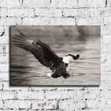 HD Canvas Print Home Decor Paintings Wall Art Pictures-SR111634