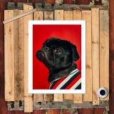 HD Canvas Print Home Decor Paintings Wall Art Pictures-SR110525