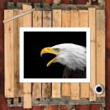 HD Canvas Print Home Decor Paintings Wall Art Pictures-SR100995
