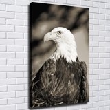 HD Canvas Print Home Decor Paintings Wall Art Pictures-SR119799