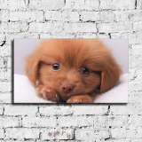 HD Canvas Print Home Decor Paintings Wall Art Pictures-SR109232