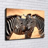 HD Canvas Print Home Decor Paintings Wall Art Pictures-SR-10617