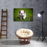 HD Canvas Print Home Decor Paintings Wall Art Pictures-SR100934